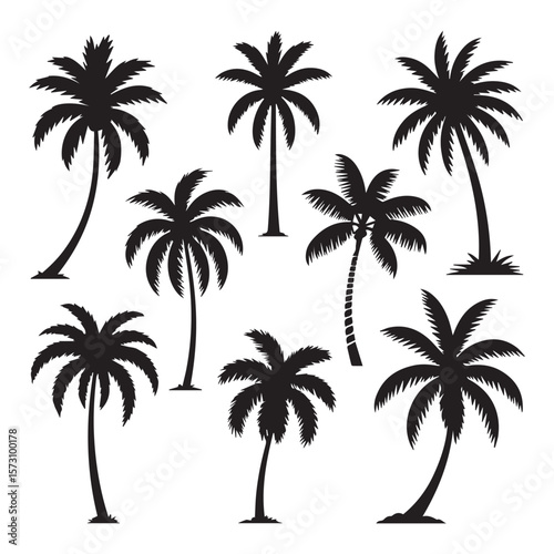 A collection of silhouette palm trees representing tropical landscapes, summer vacations, and exotic nature for design elements