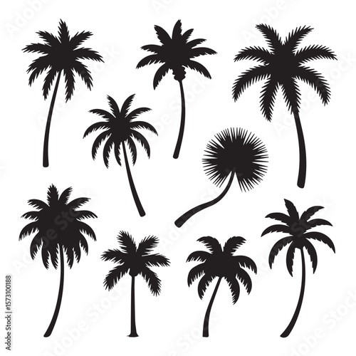 A set of silhouette palm trees evoking tropical landscapes, summer vacations, and exotic nature for design and artistic purposes