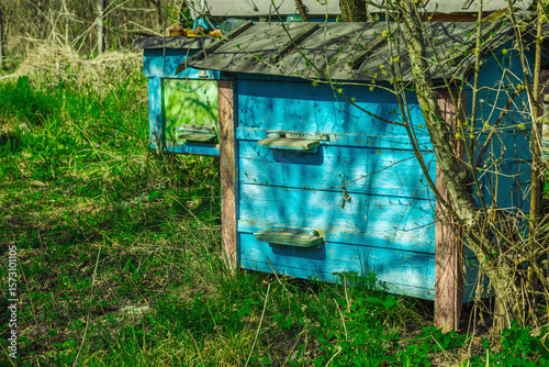 Abandoned traditional beehives near rural home. A symbolic image of global bee population