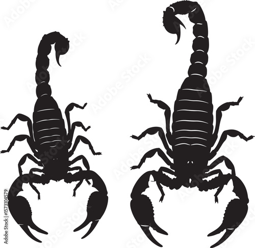 Stylized scorpion silhouette vector design with intricate details