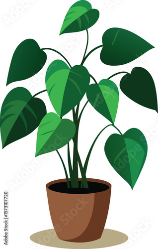 pothos no background