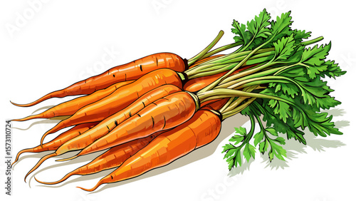Fresh organic carrots with bright orange roots and leafy green tops lie on a white background, their earthy texture and natural curves perfect for healthy cooking and rustic kitchen designs.