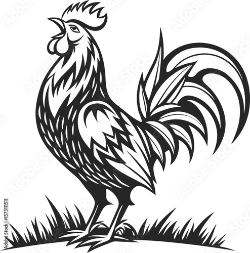 Rooster Illustration Black and White Graphic Design