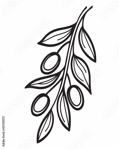 Doodle retro olive branch collection. Line engraving art in charcoal or crayon drawing style of plant stem with olives harvest vector illustration. Ink hand drawn set. Pencil drawn design elements
