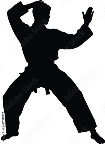 Dynamic Martial Arts Silhouette: Focused Practitioner in Traditional Stance, Ideal for Training.