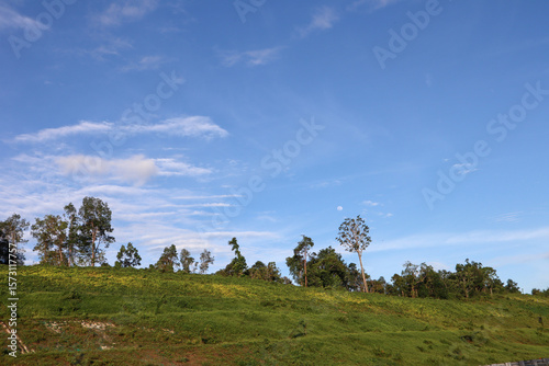 Fototapeta Naklejka Na Ścianę i Meble -  landscape with blue sky and clouds