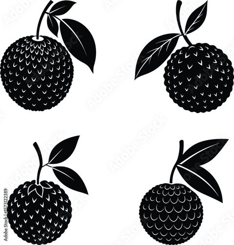  Lychee fruit with one leaf silhouette