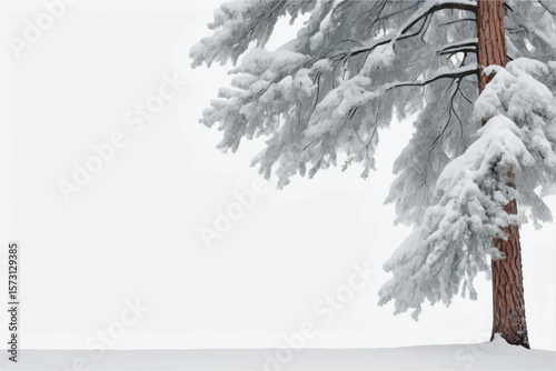 snow covered pine tree