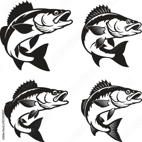 bass fish catching the fishing lure vector of largemouth bass fish and the big bass fish in Vector Black silhouette