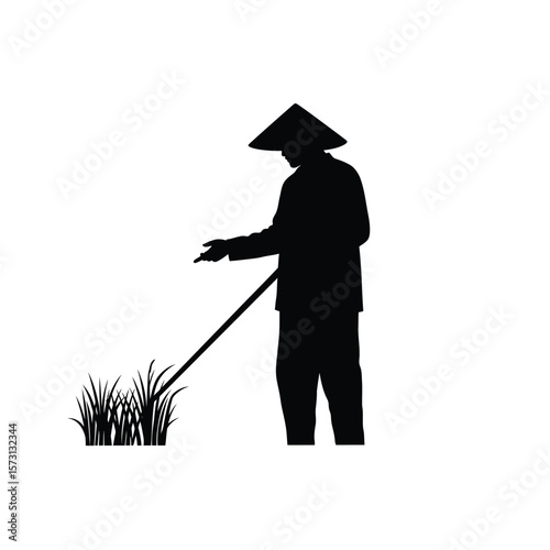 Asian Farmer Harvesting Rice Paddy Field Silhouette