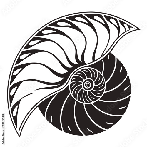 Understanding the Fibonacci Sequence and the Golden Ratio in Nature