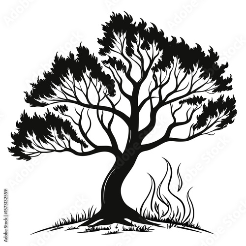 Burning Bush Tree Symbolizing Spiritual Growth Resilience and Divine Presence