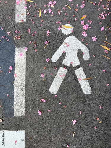 Pedestrian symbol on asphalt with pink flowers