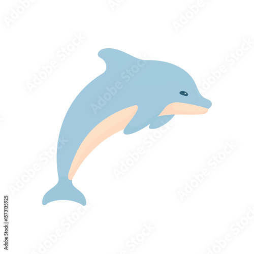 Dolphin. Sea Animals. Friendly Sea Animals Concept