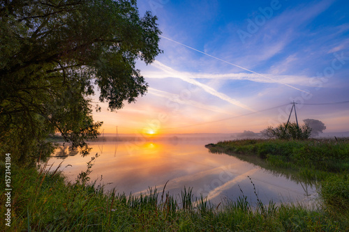 Body of water with a tree in the foreground