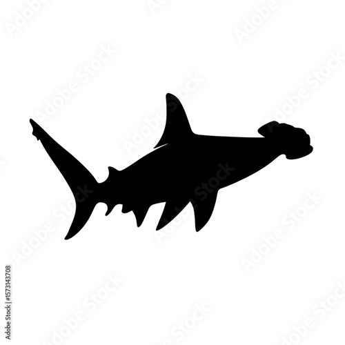 Illustration of a hammerhead shark silhouette swimming to the right side of the frame view here now