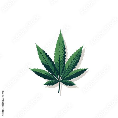cannabis leaf isolated