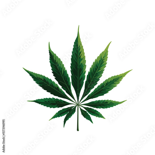 cannabis leaf isolated