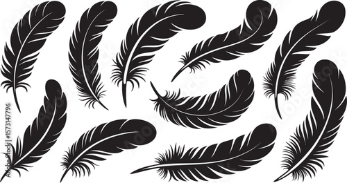 Feather Silhouette Icon Set – Black Vector Bird Feathers for Nature, Boho, and Decorative Art Designs