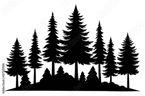 vector silhouette of various pine and fir trees isolated on white background
