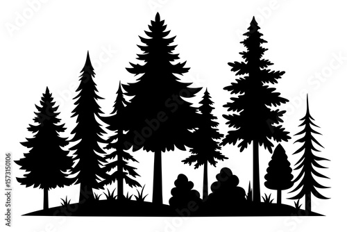 vector silhouette of various pine and fir trees isolated on white background