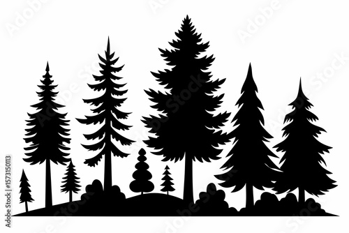 vector silhouette of various pine and fir trees isolated on white background