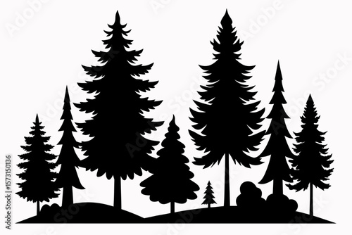 vector silhouette of various pine and fir trees isolated on white background