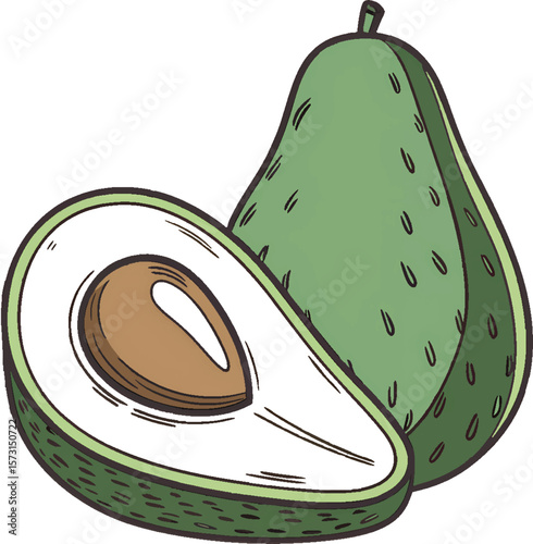 Fresh Green Avocado Half with Seed Illustration – Vector Fruit Design