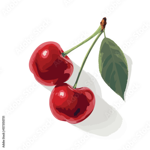cherry isolated in White Background