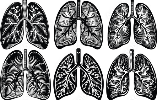 Adobe Illustrator ArtBlack Silhouette of Human Lungs-Minimal Lung Silhouette- Medical lungs Vector Illustration- Lung Icon Isolated on Whitework