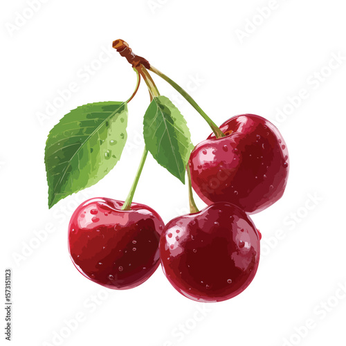 cherry isolated in White Background
