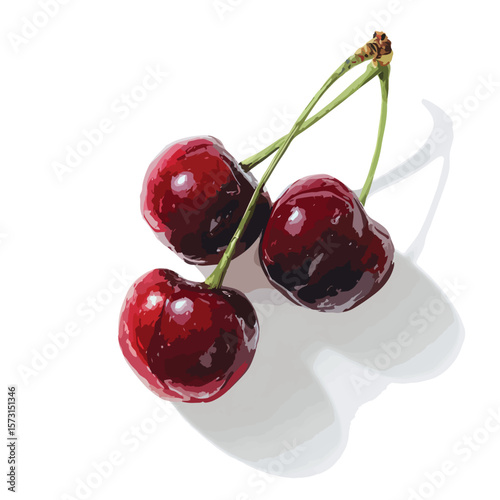 cherry isolated in White Background