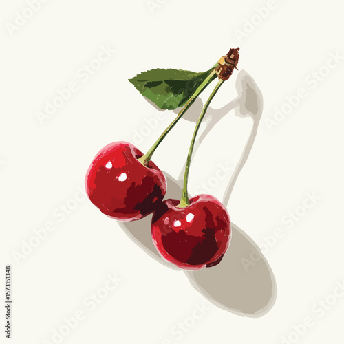 cherry isolated in White Background