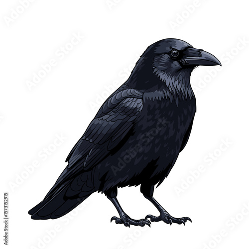 A detailed illustration of a crow, perched and facing right, showcases its sleek black plumage and sharp beak.