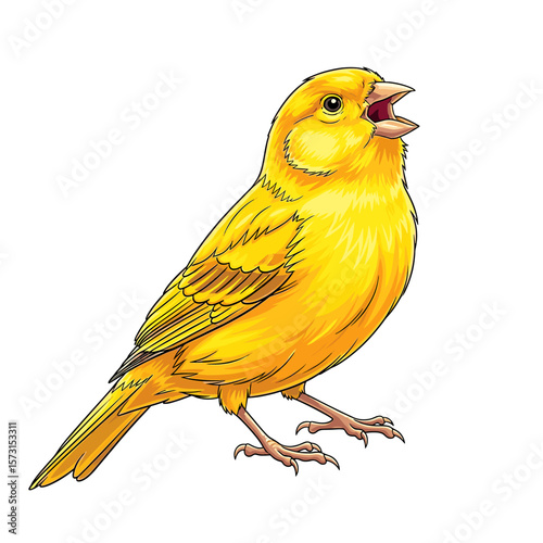 A vibrant yellow canary bird, depicted in profile view, with an open beak, suggesting song or vocalization.