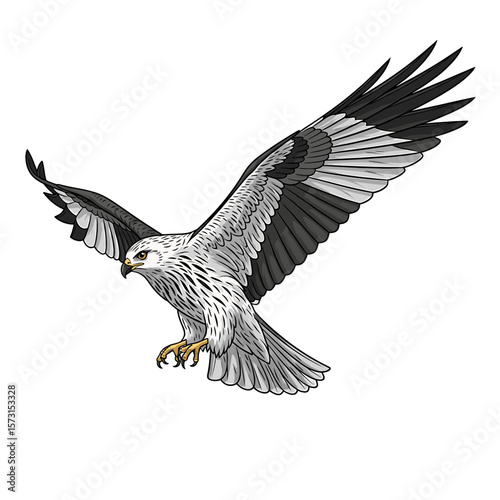 Detailed illustration of a soaring bird of prey in flight.