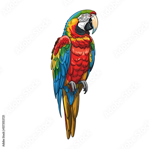 Colorful macaw perched, featuring vibrant red, blue, yellow, and green plumage, against a white background.