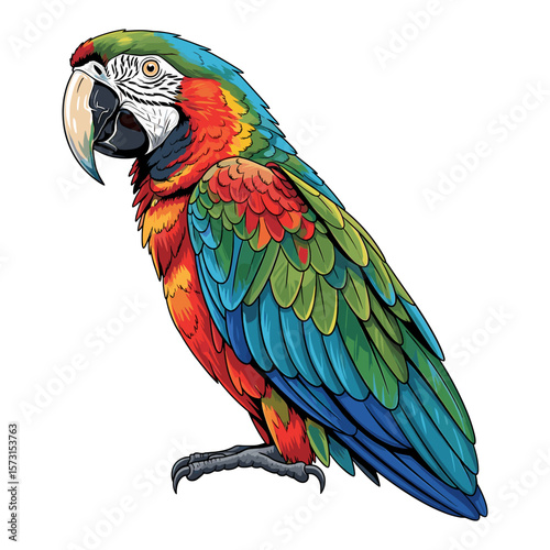 Colorful illustration of a macaw parrot with vibrant feathers, perched and looking.