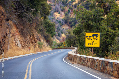 Winding road passing through Sequoia National Park with a sign advising to slow down for wildlife