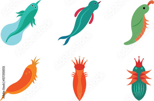 Rotifer