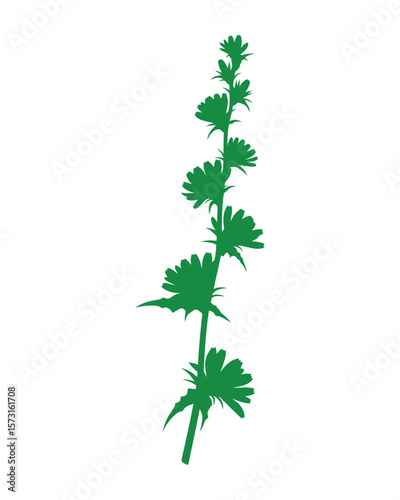 Green Flower Silhouette Botanical Illustration Single Stem Floral Design