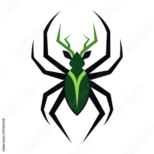 spider on a white background