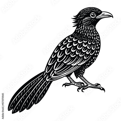 Elegant Black Bird Illustration Vector Graphic Download