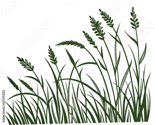 Lush green grass with tall stems and seeds, transparent background 