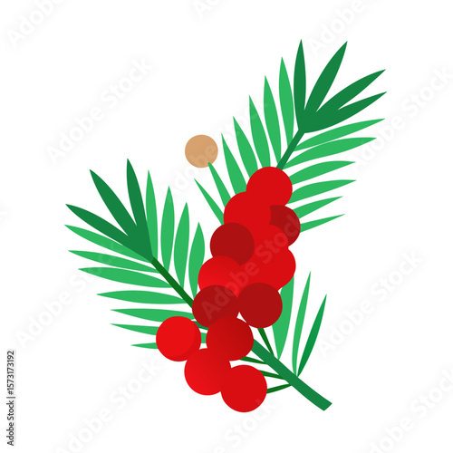 branch with berries