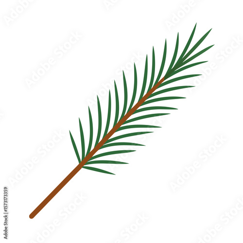 palm leaf isolated on white background