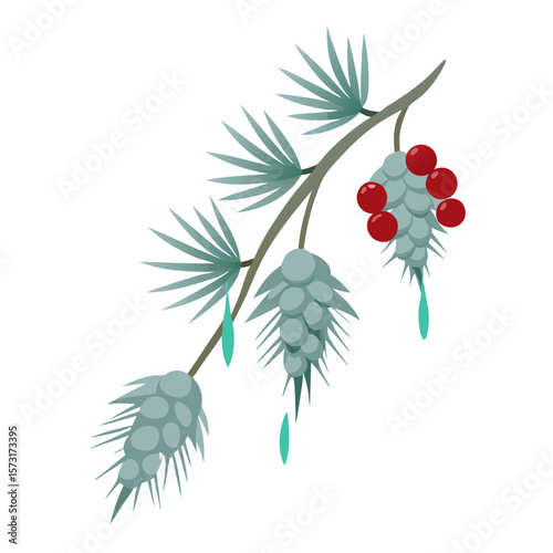 branch of rowan berries
