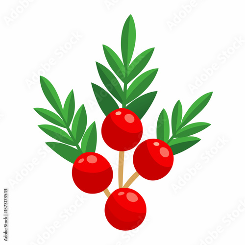 red berries on a branch