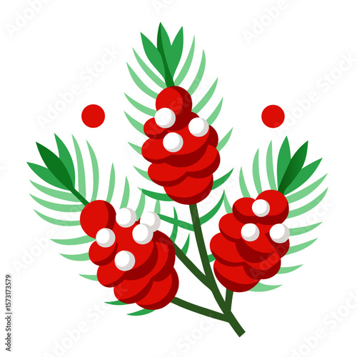 vector illustration of a raspberry