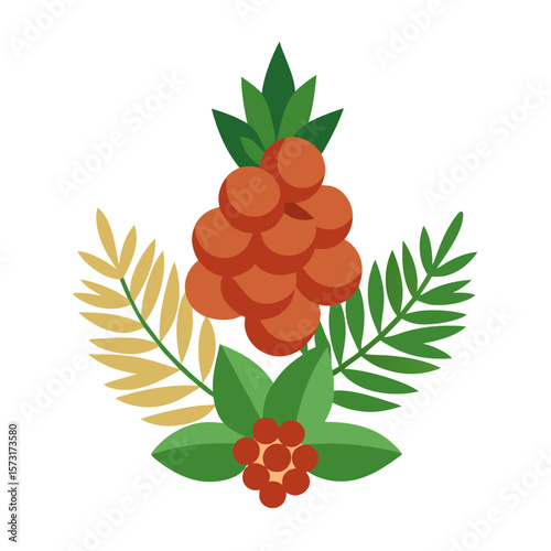 vector illustration of a ripe raspberry